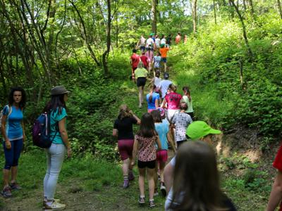 Visita naturalistica alla riserva dei Ciciu del Villar - 22 giugno